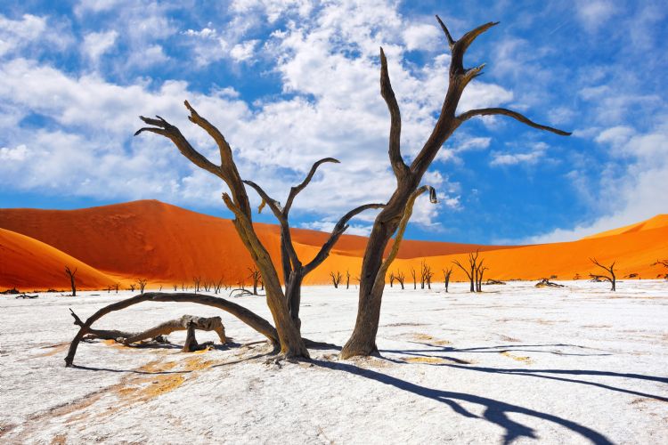 Sossusvlei dans le désert du Namib