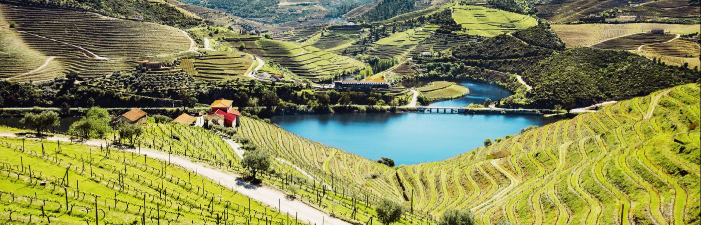Vignes de la vallée du Douro