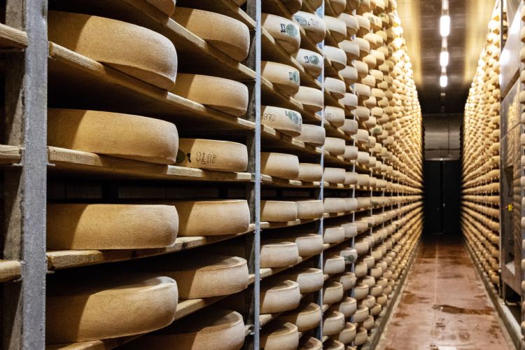 Cave de comté