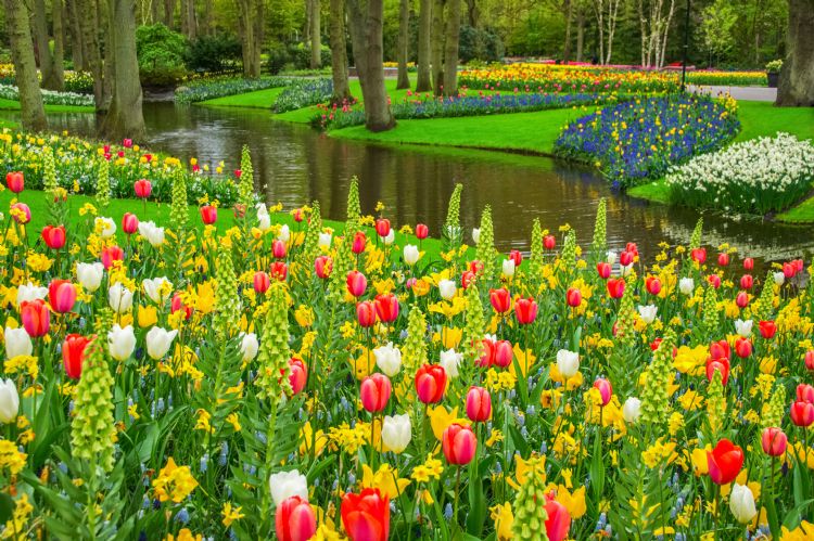 Keukenhof